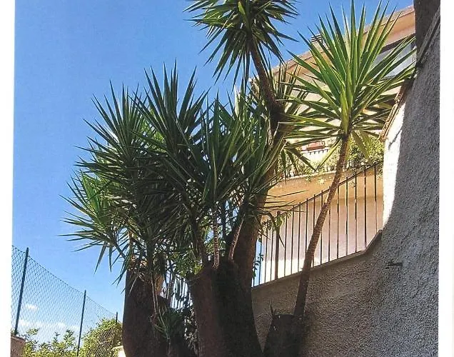 Couette-café Il Tronchetto 3*